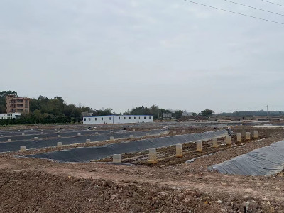 鹽城徐總拿下新棚，購買40臺恩拓博高速增氧機